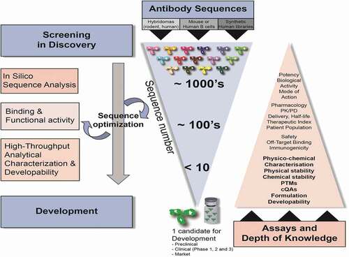 Figure 1. Drug discovery, sequence selection, and developability workflow