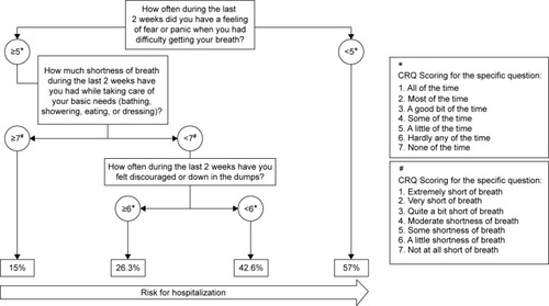 Figure 1 Algorithm proposed to predict hospitalization in patients with COPD.