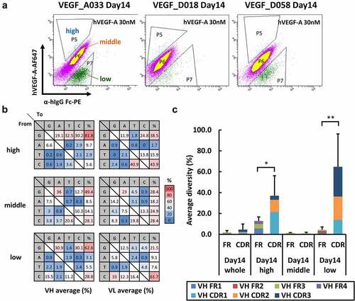 Figure 4. In-depth sequence analysis of the clones obtained from the ADLib® KI-AMP using NGS.