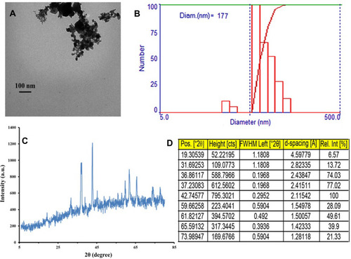 Figure 1 (A) TEM images, (B) DLS histogram, (C) XRD pattern, and (D) XRD data of synthesized Co3O4 NPs by sol-gel method.