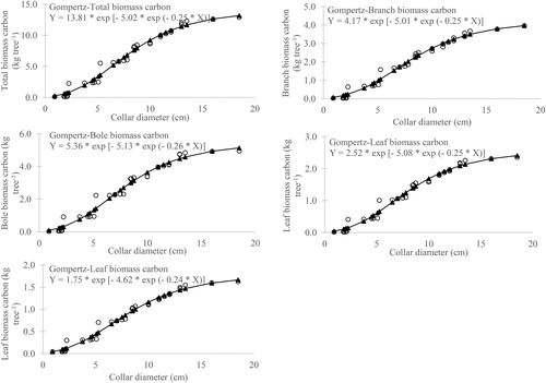 Figure 5. Gompertz model fitted to the observed dataset of biomass carbon vs collar diameter in Mangifera indica.