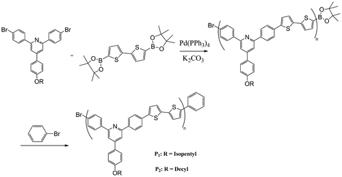 Scheme 2 Polymers synthesis.