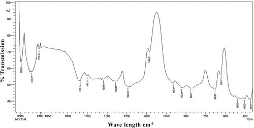Figure 5. Fourier transform infra-red spectroscopy (FTIR) spectrum of seed extract.