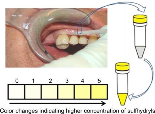 Figure 1 Procedure for semiquantitative analysis for presence of VSC.