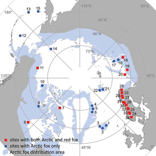 Figure 1. Study sites of the 34 Arctic fox monitoring projects described in this paper (Arctic fox distribution area modified from Angerbjörn & Tannerfeldt Citation2014). For study area names, see Table 1.