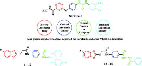 Figure 2. Target benzoxazoles fulfilled the pharmacophoric structural features of VEGFR-2 inhibitors.