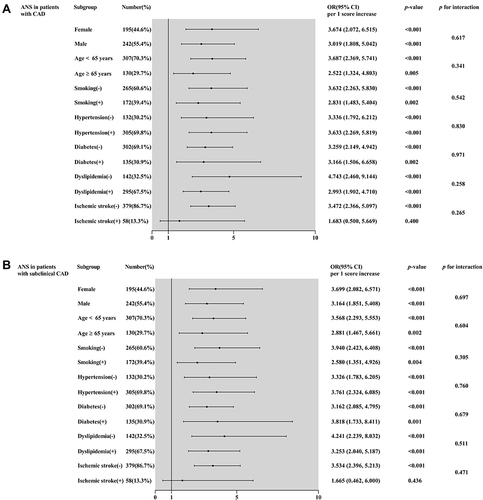 Figure 6 Forest graphs based on subgroup analysis for evaluating the prognostic implication of the ANS in various stratifications, including sex, age, smoking, hypertension, diabetes, dyslipidemia, and ischemic stroke. The OR was evaluated based on per 1 score increase in the ANS. (A) Subgroup analysis of the ANS in patients with CAD, (B) subgroup analysis of the ANS in patients with subclinical CAD.