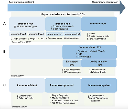 Figure 2 The immune landscape of HCC as described in three studies. (A) Three immune subtypes described as Immune-low, Immune-mid and Immune-high. Immune-low was further subcategorised into two classes, Immune-low-1 and Immune-low-2. Immune-mid was divided into Immune-mid-1 and Immune-mid-2. Immune-mid-1 was described as a more homogeneous subtype, whereas Immune-mid-2 exhibited a relative inhomogeneous subtype including areas of increase mast-cell infiltration or neutrophil infiltration or more granuloma formation.Citation62 (B) The immune class was identified in 25% of studied HCC tumours and is subdivided into an exhausted or active immune state. Similar immune characteristics have been observed between the Immune-mid class and the exhausted subtype of the Immune class.Citation65 (C) Zhang et al found three immune subtypes – Immunodeficient, Immunosuppressed and Immunocompetent.Citation68 NB: this diagram has not been made to reflect the exact proportions of each subtype in relation to each other.