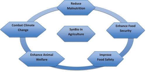 Figure 1. Application of SynBio in Agriculture.