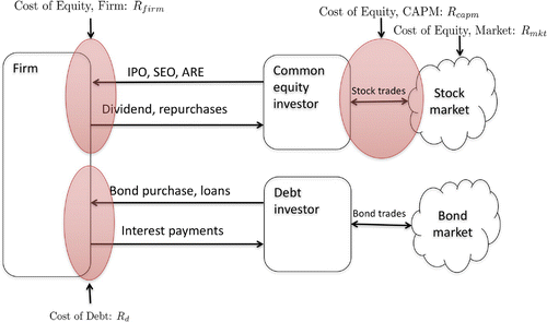 Figure 1. Cost of capital perspective.