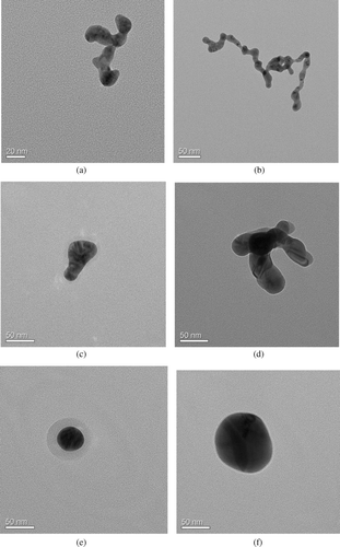 FIG. 7 TEM images of NP agglomerates as a function of sintering temperature (a) 50 nm at R.T., (b) 100 nm at R.T., (c) 50 nm at 200°C, (d) 100 nm at 200°C, (e) 50 nm at 600°C, and (f) 100 nm at 600°C.
