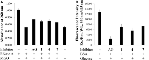 Figure 2.   Protective effects of hesperidin (1), hesperetin (4), and glucosyl hesperidin (7) on (a) RNase A targeted by methyglyoxal (MGO) attack. (b) Advanced glycation end-products (AGEs) formation between bovine serum albumin (BSA) and glucose. The concentrations of tested samples and aminoguanidine (AG) were 1 mM. Each value was expressed as the mean ± SD, n = 3.