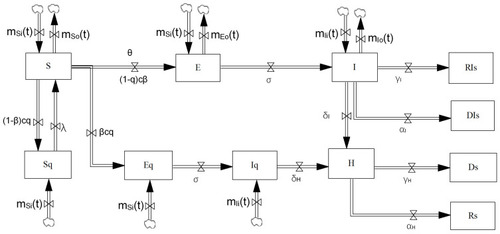 Figure 4 The model of the COVID-19 infection.