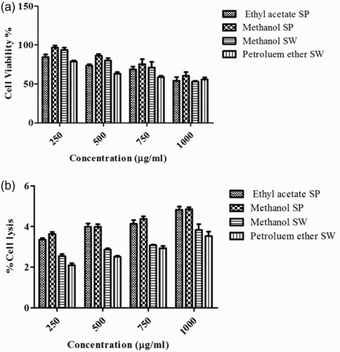 Figure 4. Measurement of cell viability and haemolytic activity of Sargassum polycystum and Sargassum wightii. (a) Cell viability determined by MTT assay. J774 cells were treated with 1000, 750, 500 and 250 µg/ml of ethyl acetate and methanol extracts of S. polycystum (SP), or methanol and petroleum ether extracts of S. wightii (SW). Absorbance was measured at 630 nm. (b) Haemolytic activity of ethyl acetate and methanol extracts of S. polycystum (SP) and methanol and petroleum ether extracts of S. wightii (SW). Absorbance was measured at 630 nm. Values are means ± SD (n = 3); ***p < 0.0001 is considered significant.