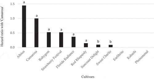 Figure 1. Hazard ratios for cultivars tested compared to the reference cultivar ‘Camarosa’ when challenged with M. phaseolina isolate BRIP 66625. A hazard ratio of 1 or more implies equal or greater susceptibility than the control ‘Camarosa’. Hazard ratios less than 1 imply greater resistance than ‘Camarosa’. Columns with the same subscript are not significantly different in response to the pathogen (P ≥ 0.05)