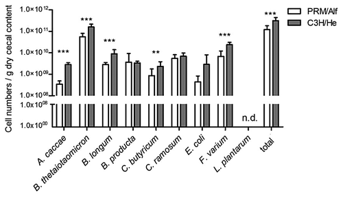 Figure 2. Microbial cell numbers in dry cecal content of PRM/Alf (n = 12) and C3H/He (n = 13) mice, both associated with the SIHUMI consortium. Data are expressed as mean ± standard deviation. Significant differences were analyzed by Student’s t test: **P ≤ 0.01; ***P ≤ 0.001; n.d., not detected