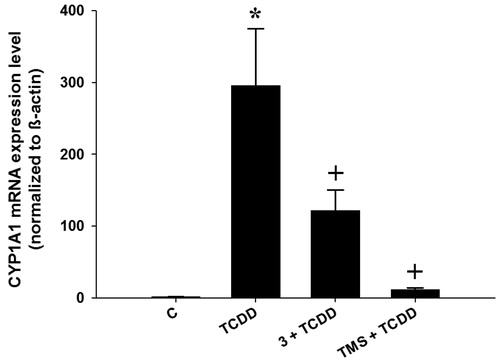 Figure 3. Effects of stilbenes on CYP1A1 mRNA level. HepG2 cells were co-treated with 1 nM TCDD plus compound 3 (3) or 3,4′,5-trimethoxystilbene (TMS) at 5 µM for 6 h. First-strand cDNA was synthesized from total RNA (1.5 μg) extracted from HepG2 cells. cDNA fragments were amplified and quantitated using the ABI 7500 real-time PCR system as described in the experimental section. Duplicate reactions were performed for each experiment, and the values presented as the mean ± SE (n = 6). (*) p < 0.05 compared to control (DMSO; C). (+) p < 0.05 compared to TCDD alone.