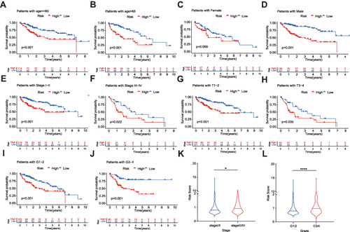 Figure 6 Stratified analysis of the prognostic signature in the TCGA dataset. OS of the two risk groups in different clinical stratification like age (A and B), gender (C and D), stage (E and F), T stage (G and H) and grade (I and J). The relationships between the prognostic signature and stage (K), tumor grade (L). The asterisks represented the statistical p value (*P<0.05; ****P < 0.0001).