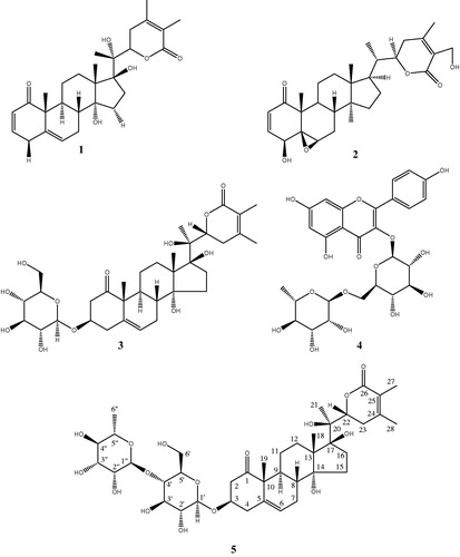 Figure 1. Chemical structures of compounds isolated from W. adpressa leaves.