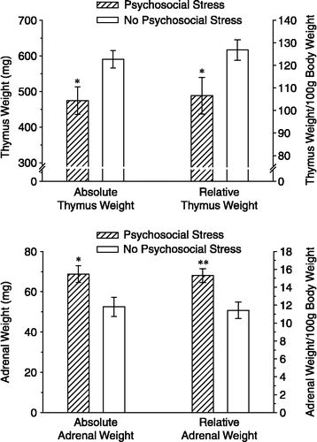 Figure 6 Adrenal gland and thymus weights from Experiment 2. Data are shown as actual weights (left side of each figure) and relative weights expressed as mg/100 g body weight (right side of each figure). Three weeks after the second cat exposure, the psychosocial stress group demonstrated a smaller thymus (top) and larger adrenal glands (bottom) than the no psychosocial stress group. *p < 0.05; **p < 0.01 versus the no psychosocial stress group. Data are group means ± SEM.