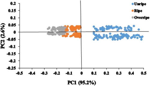 Figure 4. Scores scatter plot of PC1 and PC2 of PCA conducted on feature wavelengths.