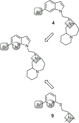 Figure 2.  Analogy between published ligands 4 and 9 and proposed derivative.