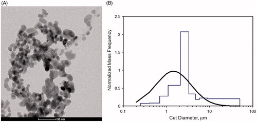 Figure 2. (A) TEM image of nano-sized CuO particles. (B) Particle size distribution of the aerosol (based on multi-orifice cascade impactor data).