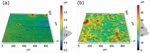 Figure 1. 3D-view of the surface topography of the smooth (a) and the rough surface (b), recorded with the 3D microscope Leica DCM8, using the focus variation mode and a 10x magnification lens.
