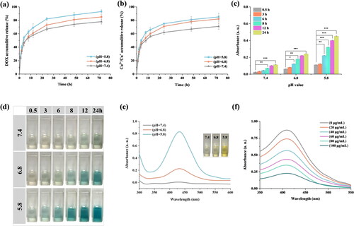 Figure 2. Lp-Cu-DOX in vitro release study: (a) cumulative release of DOX from Lp-Cu-DOX and (b) cumulative release of Cu2+/Cu+ from Lp-Cu-DOX. (c)Time-dependent absorbance at 370 nm wavelength and (d) color change of TMB solution under different conditions. (e) UV–Vis absorption spectra of OPD solution mixed with various Lp-Cu-DOX solutions after different treatments (insets: digital pictures of different samples). (f) GSH depleting ability of Lp-Cu-DOX.