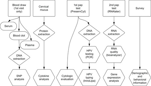 Figure 1 Overall design of the Carolina Women’s Care Study.