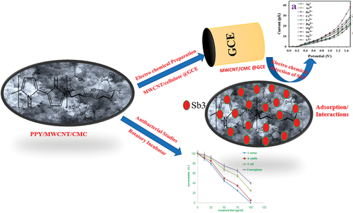 Figure 1. Schematic representation of electrochemical detection by PPY/CMC/MWCNTS Cs/binder/GCE, as well as the antibacterial activity by PPY/CMC/MWCNTS composite.