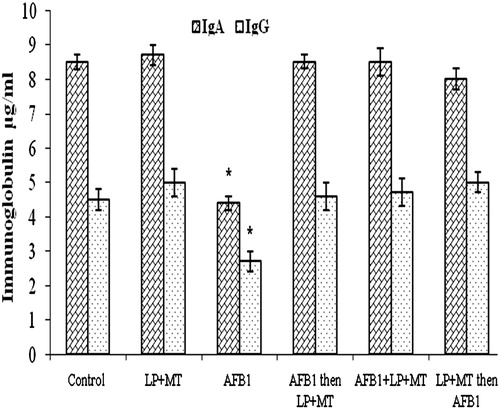 Figure 1. IgA and IgG levels in rat blood after treatment. Rats were orally exposed daily, as indicated in Table 1. Plasma was collected from blood isolated 12 h after the final treatment. Data shown are means ± SD. *For each given isotype, the value was significantly different from control and all other treatment group values (p < 0.05).