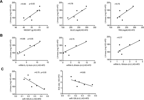 Figure 10 Significant correlations between heart functional parameters and metabolic (A), inflammatory (B) and epigenetic (C) variables in KO-HFD mice (n = 6). Least squares regression lines and Pearson coefficient are shown. Statistical significance was set at p < 0.05.
