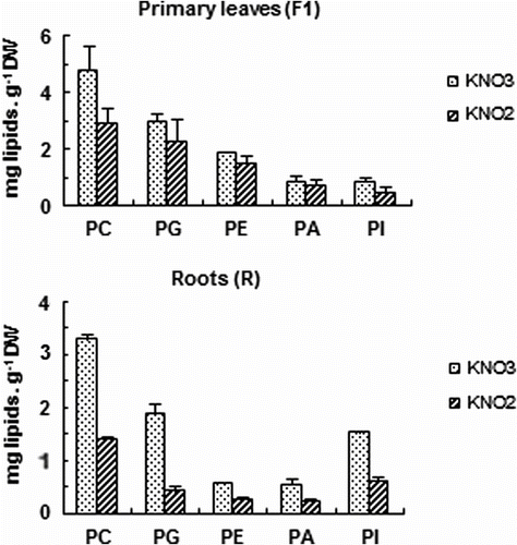 Fig. 5 Effects of increasing nitrite concentration on phospholipids molecule content (phosphatidylcholine, PC; phosphatidylglycerol, PG; phosphatidyléthalonamine PE; phosphatidic acid, PA; phosphatidylinositol, PI) of tomato seedlings after 7 days exposure to increased concentration of KNO2 or KNO3 in the culture medium. Values are means ± E.S (n = 6). SE is indicated by bars when larger than symbol. The least significant differences (LSD) at 5% were used for mean comparison. Fig. 5. Effets des concentrations élevées de nitrite sur la teneur des molécules de phospholipides (phosphatidylcholine, PC; phosphatidylglycerol, PG; phosphatidyléthalonamine PE; phosphatidic acid, PA; phosphatidylinositol, PI) des feuilles mâtures (F1) et des racines (R) des plants de tomate exposés pendant 7 jours à des concentrations élevées de KNO2 ou de KNO3 dans le milieu de culture. Chaque point est la moyenne de 6 répétitions ± SE, intervalle de confiance calculé au seuil de probabilité 95%.