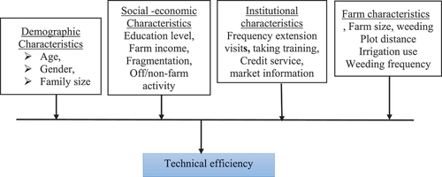 Figure 1. Conceptual framework of technical efficiency of onion.