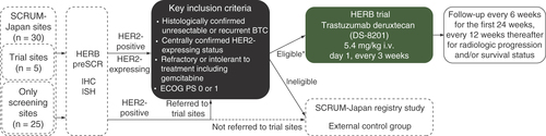 Figure 1. HERB trial design.*The primary cohort (n = 24) of HER2-positive patients(defined as lHC 3+ or lHC 2+/lSH +) and the exploratory cohort (n = <8) of HER2-low-expressing patients (defined as lHC/lSH status of 0/+, 1+/-, 1+/+, or 2+/-).BTC: Biliary tract cancer; ECOG PS: Eastern Cooperative Oncology Group performance status; HERB preSCR: Screening study of HER2 expression for biliary tract cancer; IHC: Immunohistochemistry; ISH: In situ hybridization; i.v.: Intravenous; SCRUM-Japan: Cancer Genome Screening Project for Individualized Medicine in Japan.