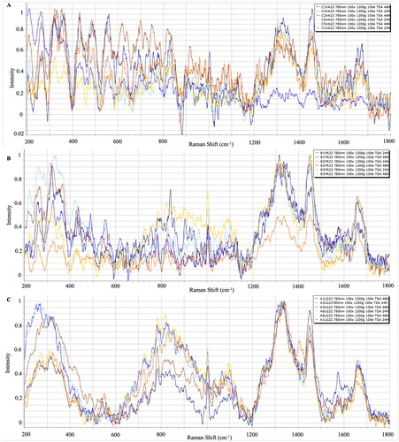 Figure 4. A: 24 and 48 h Raman spectra of V. anguillarum strains (TSA), B: 24 and 48 h Raman spectra of Y. ruckeri strains (TSA), C: 24 and 48-hour Raman spectra of L. garvieae strains (TSA).