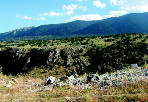 Figure 6. Pediment surface developed on carbonate rocks at an elevation of 500 m, on the northeast slopes of Aenos Mt., west of Poros.