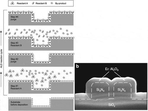 Figure 1. (a) Schematic of the atomic layer deposition process. One ALD-cycle consists of steps #1-#4. Reprinted with permission from [Citation68]. (b) SEM photograph of a slot waveguide in Si3N4 showing a conformal coating of Er3+:Al2O3 to achieve a highly efficient on-chip amplifier. A gain per unit length of 20 dB/cm was measured. Reprinted with permission from [Citation27]