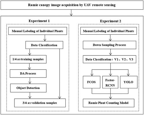 Figure 2. The research steps.