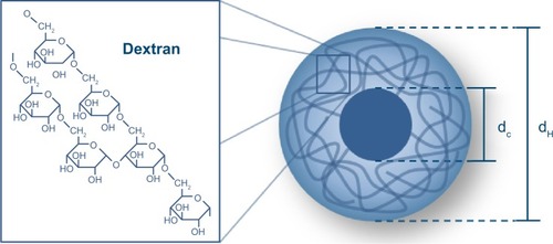 Figure 6 Schematic drawing of a spherical and dextran-coated magnetic nanoparticle.Notes: The magnetic core (with core diameter dC) is surrounded by a magnetically neutral coating (with hydrodynamic diameter dH), which is necessary to prevent agglomeration of the particles.