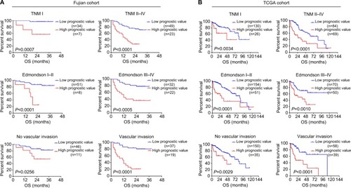 Figure 5 Subgroup analysis of OS for patients with different levels of prognostic values.Notes: Kaplan–Meier curves for OS between HCC patients with high prognostic values and low prognostic values in (A) Fujian cohort and (B) TCGA cohort, according to different clinical features: TNM stages, Edmondson–Steiner tumor differentiation, and vascular invasion.Abbreviations: HCC, hepatocellular carcinoma; OS, overall survival; TCGA, The Cancer Genome Atlas.