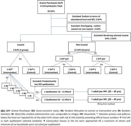 Fig. 1 Randomization and selection of intervention and control panchayats.