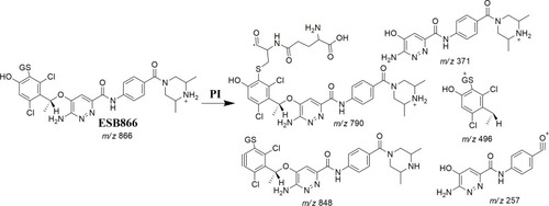 Scheme 6 ESB866 fragment ions.