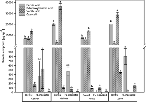 Figure 1. Amounts of ferulic acid, p-hydroxybenzoic acid, vanillic acid and quercetin in grains from four oat varieties (Canyon, Gaillette, Husky and Zorro) in the non-inoculated control (n = 28) and after inoculation with Fusarium langsethiae (FL) (n = 30). Measurements were conducted after three weeks incubation at 18°C in the dark. Pooled data of two experiments were used. Error bars represent the standard error of the means. Comparisons of the phenolic compounds were made between values of the different oat grain varieties within the same treatment groups (Control, FL inoculated). Values of oat grain varieties with the same letters are not significantly different (α = 0.05).