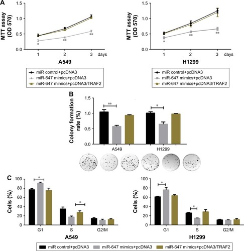 Figure 4 miR-647/TRAF2 axis regulated the tumorigenic phenotype of NSCLC cells.