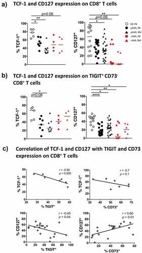 Figure 4. Reduced frequencies of TCF-1+- and CD127+ CD8+ T cells in pAML and rAML vs. HDs