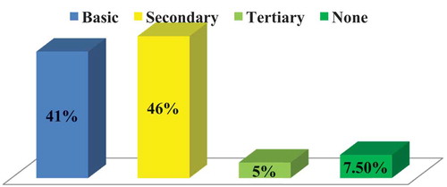 Figure 3. Level of education of respondent.