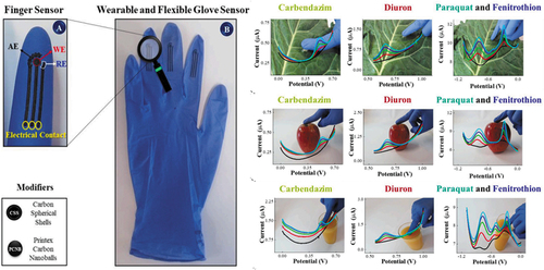 Figure 9. Image of the wearable glove sensor and real time monitoring of carbendazim, diuron, paraquat, and fenitrothion in cabbage, apple, and orange juice. Reproduced with permission from ref [Citation104], copyright @ Elsevier (2021).
