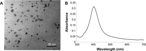 Figure 1 Characterization of AgNPs by TEM (A) and spectroscopy (B).Abbreviations: AgNPs, silver nanoparticles; TEM, transmission electron microscopy.